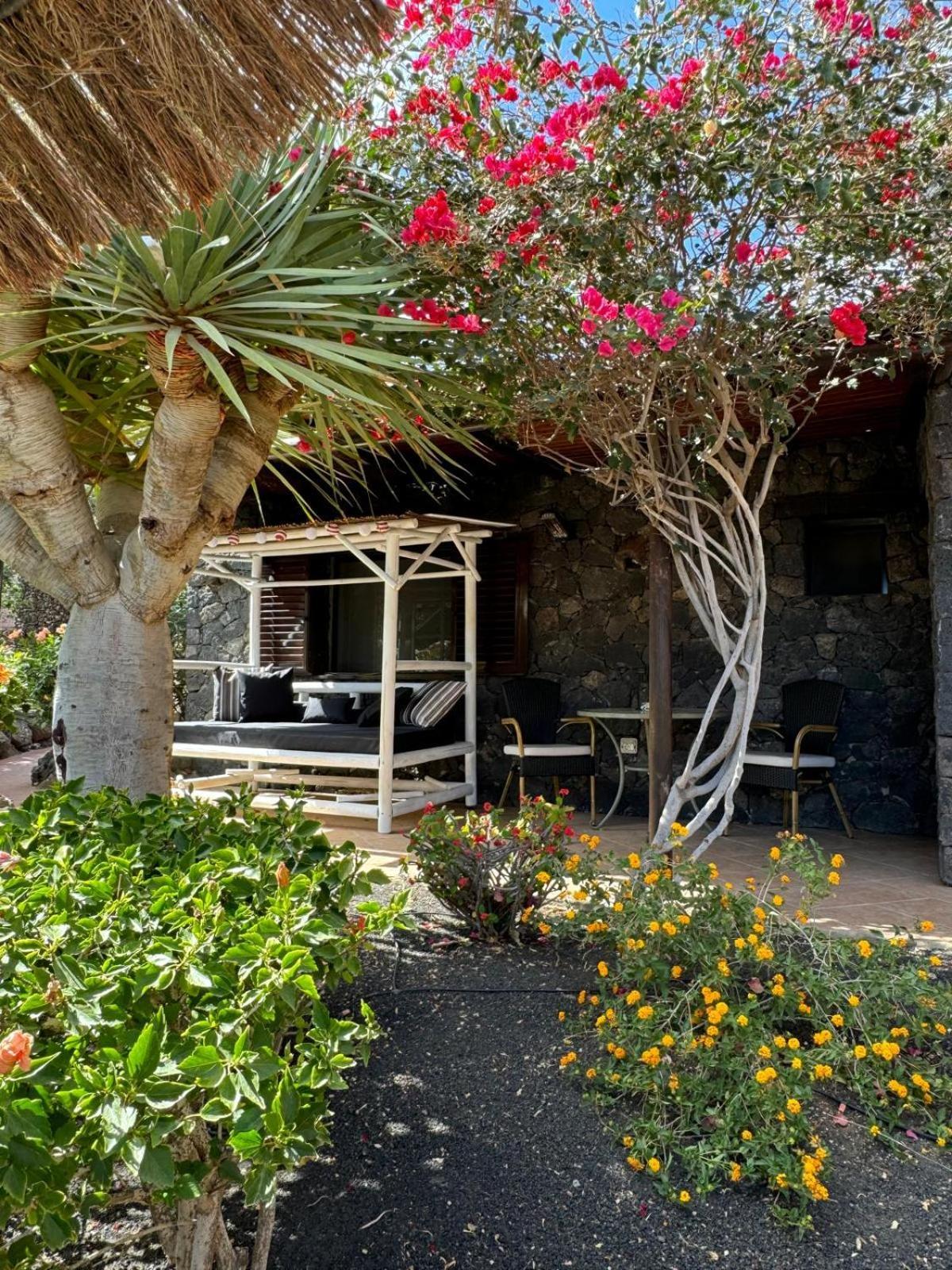 Castillo Lanzarote Villa Bailey - Luxury Villa - Pet Friendly With Heated Pool La Asomada  Zewnętrze zdjęcie